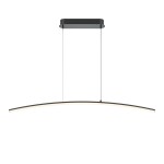 Фото 4 Подвесной светильник Maytoni MOD243PL-L18BK