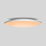 Фото 3 7975 Потолочный светильник SLIM