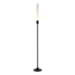 Фото SL9523.405.01 Светильник уличный наземный ST-Luce черный LED 1*3W 2700K SPIKE