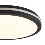 Фото 3 Потолочный светильник Freya FR6160CL-L40B
