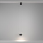 Фото 1 Подвесной светильник Technical P102PL-12W4K-B