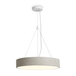 Фото 5 Подвесной светильник Freya FR5555PL-L30BGG
