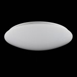 Фото 7 Потолочный светильник Freya FR6999-CL-45-W