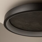 Фото 1 Потолочный светильник Maytoni MOD311CL-L27B3K
