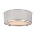 Фото 7 Потолочный светильник Maytoni MOD617CL-04GR