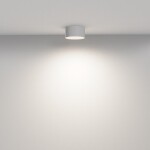 Фото 1 Потолочный светильник Technical C032CL-12W4K-RD-W