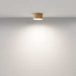 Фото 3 Потолочный светильник Technical C032CL-12W4K-RD-MG