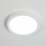 Фото 3 CL738120N Бейсик Белый Св-к Накл. LED 12W*4000K