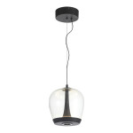 Фото 1 SL6014.423.01 Светильник подвесной ST-Luce Черный/Прозрачный, Черный LED 1*17W 3000K RIPPLE