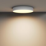Фото 1 Потолочный светильник Technical C032CL-45W2.7K-RD-W