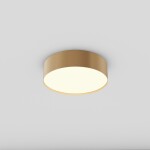 Фото 3 Потолочный светильник Technical C032CL-24W3K-RD-MG