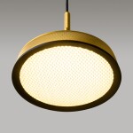 Фото 2 Подвесной светильник Maytoni MOD041PL-L15G3K
