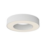 Фото 6 Потолочный светильник Technical C093CL-24W3K-W