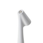 Фото 3 Настольный светильник Freya FR6188TL-L3W