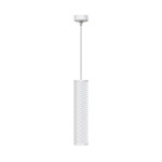 Фото 7 Подвесной светильник Technical P038PL-01W
