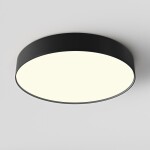 Фото 3 Потолочный светильник Technical C032CL-45W3K-RD-B
