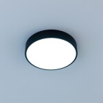Фото 1 CL72424V1 Купер Черный Св-к Потолочный