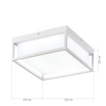 Фото 1 SL9517.502.01 Светильник уличный потолочный ST-Luce белый/белый LED 1*20W 3000K/4000K/5000K CUBO