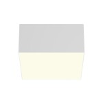 Фото 5 Потолочный светильник Technical C032CL-12W3K-SQ-W