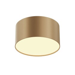 Фото Потолочный светильник Technical C032CL-12W2.7K-RD-MG