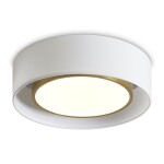 Фото Потолочный светильник Freya FR6170CL-L52BS