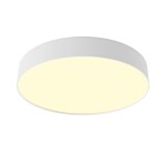 Фото Потолочный светильник Technical C032CL-45W2.7K-RD-W