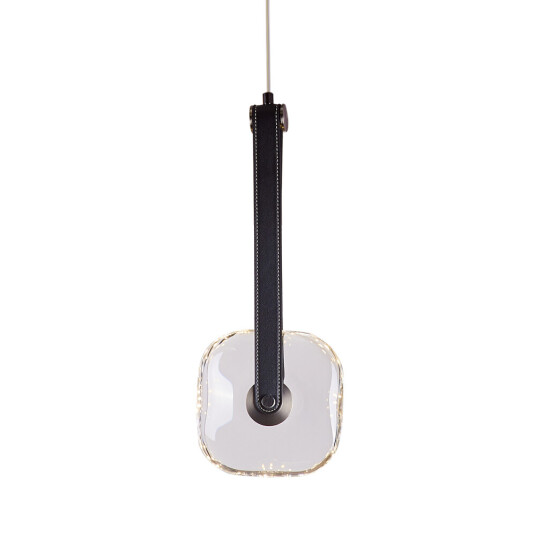 Фото Подвесной светильник OD2553-1B black/clear