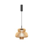 Фото Подвесной светильник Maytoni MOD465PL-L12BK1