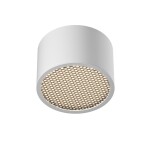 Фото 4 Потолочный светильник Technical C122CL-GX53-W