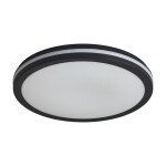 Фото 4 Потолочный светильник Freya FR6160CL-L40B