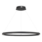 Фото SL6238.443.01 Светильник подвесной ST-Luce черный/черный LED 1*43W 4000K ПАРИЛЛА