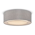 Фото 5 Потолочный светильник Maytoni MOD613CL-04GR