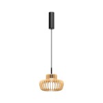 Фото 4 Подвесной светильник Maytoni MOD465PL-L12BK2