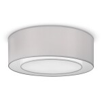 Фото 1 Потолочный светильник Maytoni MOD617CL-04GR