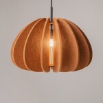 Фото 1 Подвесной светильник Maytoni MOD398PL-01BR