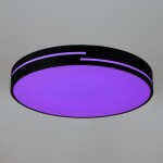 Фото 1 CL72470GL1 Купер Лайн Черный Св-к Потол. с RGB
