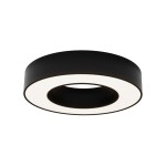 Фото 4 Потолочный светильник Technical C093CL-24W4K-B