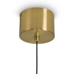 Фото 4 Подвесной светильник Freya FR6184PL-L8BS