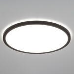Фото 4 CL738321EL Бейсик Лайн Черный Св-к с пультом LED+RGB 40W