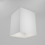 Фото 6 Потолочный светильник Technical C015CL-01W
