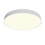Фото 7 Потолочный светильник Technical C032CL-90W3K-RD-W