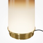 Фото 3 Настольный светильник Maytoni MOD488TL-L8BS3K