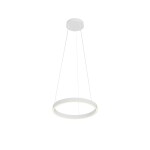 Фото 4 Подвесной светильник Maytoni MOD058PL-L22WK