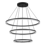Фото 3 SL1018.403.03 Светильник подвесной ST-Luce черный/прозрачный LED 1*130W 4000K ЭВКЛИДИК