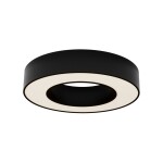 Фото 4 Потолочный светильник Technical C093CL-24W3K-B