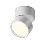 Фото 7 Потолочный светильник Technical C024CL-12W4K-W-1