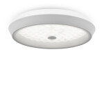 Фото 3 Потолочный светильник Freya FR10012CL-L24W