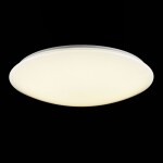 Фото 5 Потолочный светильник Freya FR6999-CL-45-W