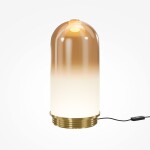 Фото 1 Настольный светильник Maytoni MOD488TL-L8BS3K